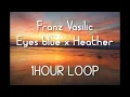 Download Lagu Fran Vasilic - Eyes Blue x Heather (1HOUR LOOP)
