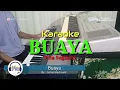 Download Lagu Karaoke BUAYA - Rita Sugiarto || KORG Pa800