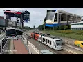 Trams en Bussen in Nederland - Aug 2025 (met Oude Tram en Zelfrijdende Bus)
