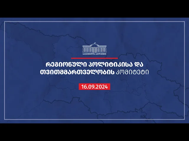 რეგიონული პოლიტიკისა და თვითმმართველობის კომიტეტის სხდომა - 16.09.2024