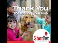 Thank You For Sharing Your Love