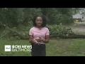 Trees down damage in Pasadena after severe storm rolls through Maryland