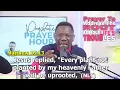 PROPHETIC PRAYER HOUR DAY 384 - Prayer To LOCATE DESTROY The ROOT Of Your LIFE S TROUBLES