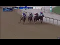 At A Premium - 2026 Sylvia Bishop Stakes