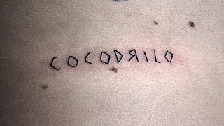 DILLOM - Cocodrilo‎ (Videoclip)