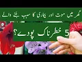 Download Lagu 5 Dangerous Plants That Can Kill You At Home