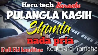 Download PULANGLAH SAYANG SHANIA karaoke nada pria cowok MP3