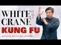 Download Lagu White Crane Kung Fu | Master Richard Huang 黃正斌 | Season 3 Ep 4