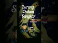 Download Lagu Burung Dalam Sangkar - May Sumarna cover Kusdi Harja #shortscover