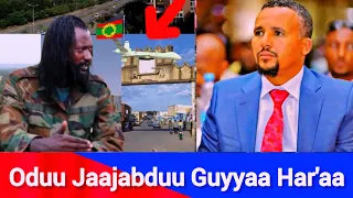 Oduu Jaajabdu Guyyaa Har Aa Nov 5 2025 