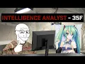 35F Intelligence Analyst