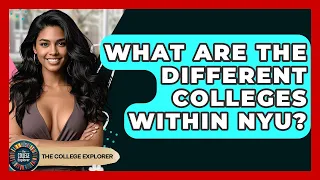 What Are The Different Colleges Within NYU - The College Explorer