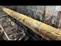 Saw-Milling Two 26 Foot Long 5 5X12 s Out of Tulip Poplar Handling and Stacking Long Hardwood