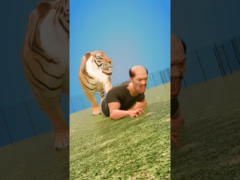 He Climbed Into a Tiger’s Enclosure for the Perfect Photo