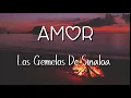 Amor _ Los gemelos de Sinaloa🔥❤️ Letra 