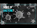 Lagu Wat is het verschil tussen een virus en een bacterie?