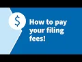 USCIS Forms How to pay your filing fees