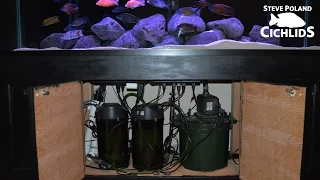 Download 125g African Cichlid Aquarium - Equipment Walkthrough MP3