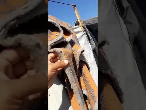 ফিলিস্তিনিদের অবস্থা ভিডিও তে দেখুন।