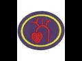 Pathfinder Honor Heart and Circulation