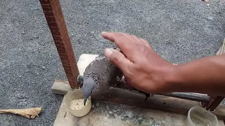 awas musim hujan kesehatan derkuku terancam 