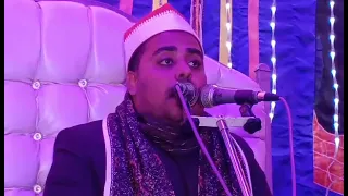 الشيخ محمد وحيد المناعى يبدع ويتالق دندنها