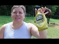 Looking for the BEST Horse Fly Spray This Summer