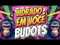 Download Lagu VIDRADO EM VOCE TIKTOK VIRAL ( BOMB BUDOTS ) DJ EJ REMIX