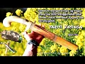 Download Lagu Tutorial pembuatan Gagang and Sarung golok Full dari Bambu Haur#Tarisi - Jasinga🔥