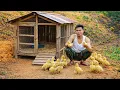 Lagu Ha Lam brought the tiny ducklings back to her farm to care for them.
