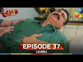 Download Lagu Laadli Episode 37 - 31 August 25 [Bilal Qureshi \u0026 Vaneeza \u0026 Asad Malik \u0026 Sukaina Khan] - HUM TV