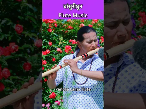Relaxing Flute Music | Bansuridhun | Bird Sound With Nature | Instrumental #flute #flutemusic #short