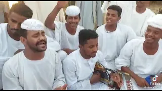 المبدع هاشم علي الجوافه 