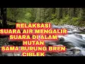 Download Lagu terapi pleci 2021 macet bunyi. di jamin langsung NYAUT gacor. harus punya buat latihan.
