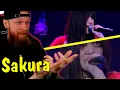 Lagu Sakura  Ikimono gakari Live Reaction