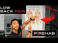 6 of the Best Lower Back Exercises Your New Back Mobility Routine