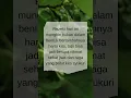 Download Lagu Rezeki hari ini yang patut kita syukuri