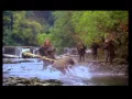 Download Lagu river fight.wmv