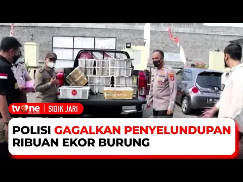 Polisi Gagalkan Pengiriman Ribuan Hewan Ilegal di Bakauheni