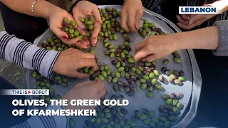 Olives The Green Gold Of Kfarmeshkeh 
