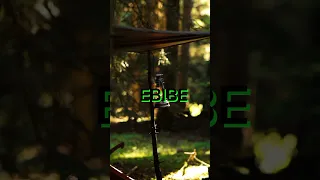 EBIBE DADAO MUSIQ Official Audio 