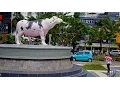Download Lagu Walking in Makassar ( Indonesia )