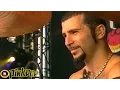 Download Lagu System Of A Down - Deer Dance live【PinkPop | 60fpsᴴᴰ】