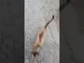 Download Lagu https://vt.tiktok.com/ZSFSErr1g/
