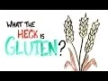 What The Heck Is Gluten