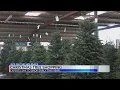Abilene s Garden World shares fire safety tips as holiday season arrives