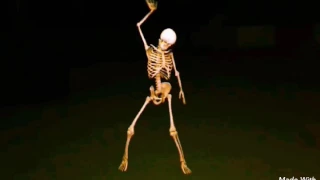 اغنية كدا ما طمرش احلي رقص شعبي دندنها