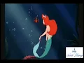 The Little Mermaid Under the Sea