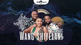 wangshiyelani by afrosoul