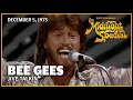 Download Lagu Jive Talkin' - Bee Gees | The Midnight Special
